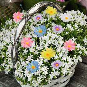 Demonwer Daisy Garden Stake demonstrates easy installation by inserting into soil.
