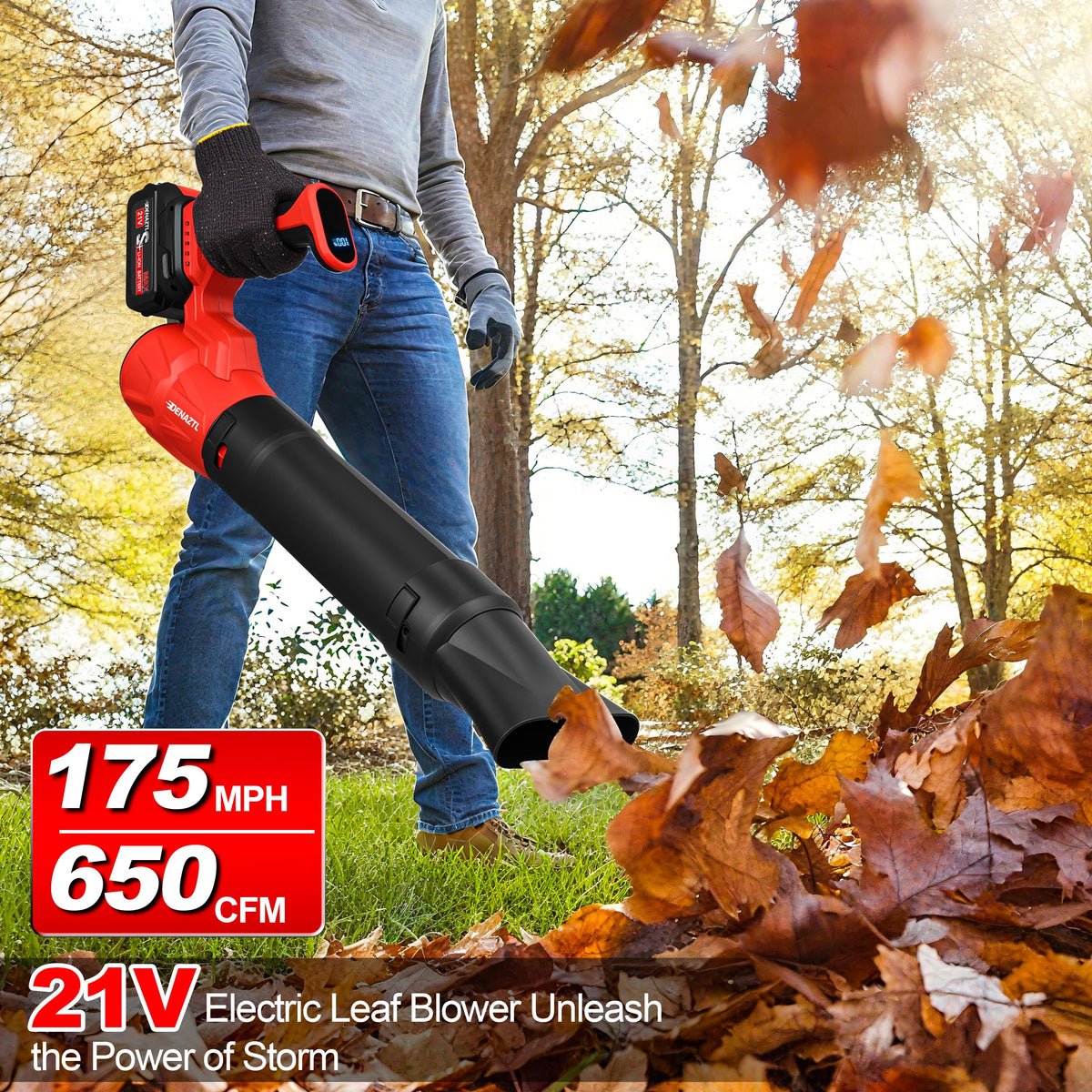Denaztl axial-flow turbofan motor delivers strong air performance.