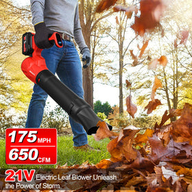Denaztl axial-flow turbofan motor delivers strong air performance.