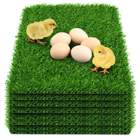 DenForste 12x12 coop mats provide a soft, egg-friendly surface in the nesting box.