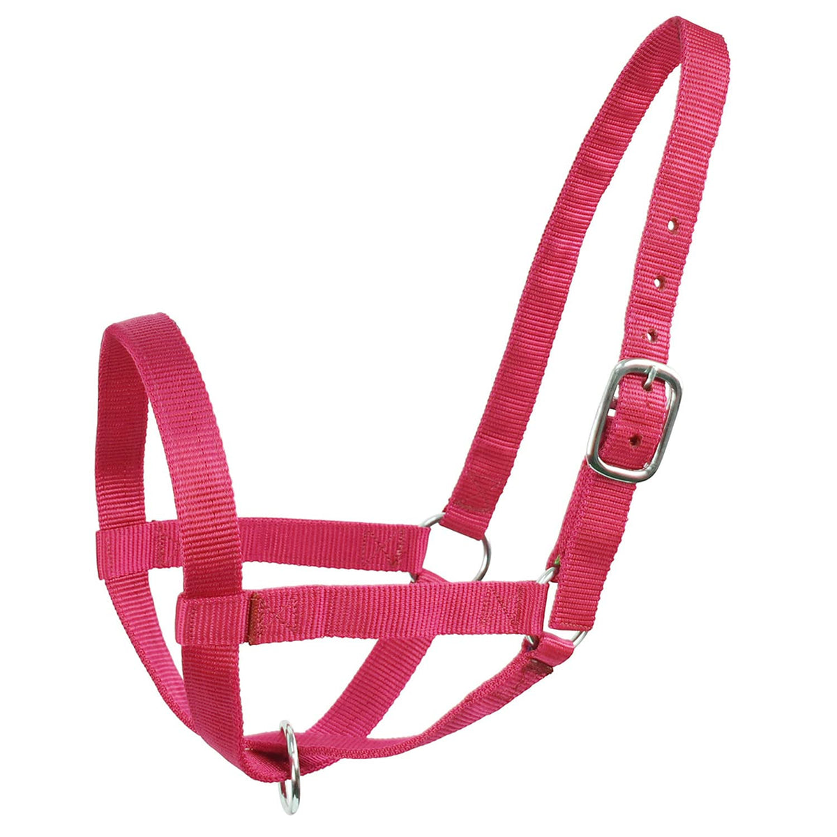 Derby Originals pink nylon halter with adjustable crowns for growing calves