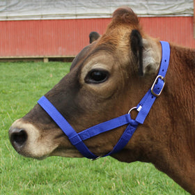 Derby Originals pink nylon halter suitable for foals, cattle, and small horses