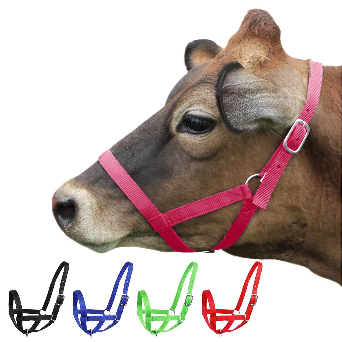 Derby Originals pink nylon cattle halter front view for reliable daily handling