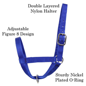 Derby Originals pink halter in pasture setting ready for daily tasks