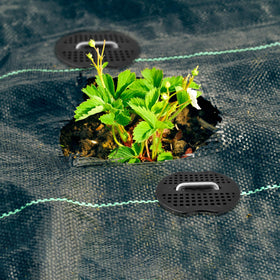 Deritec yard landscaping stake supports daily garden setups reliably