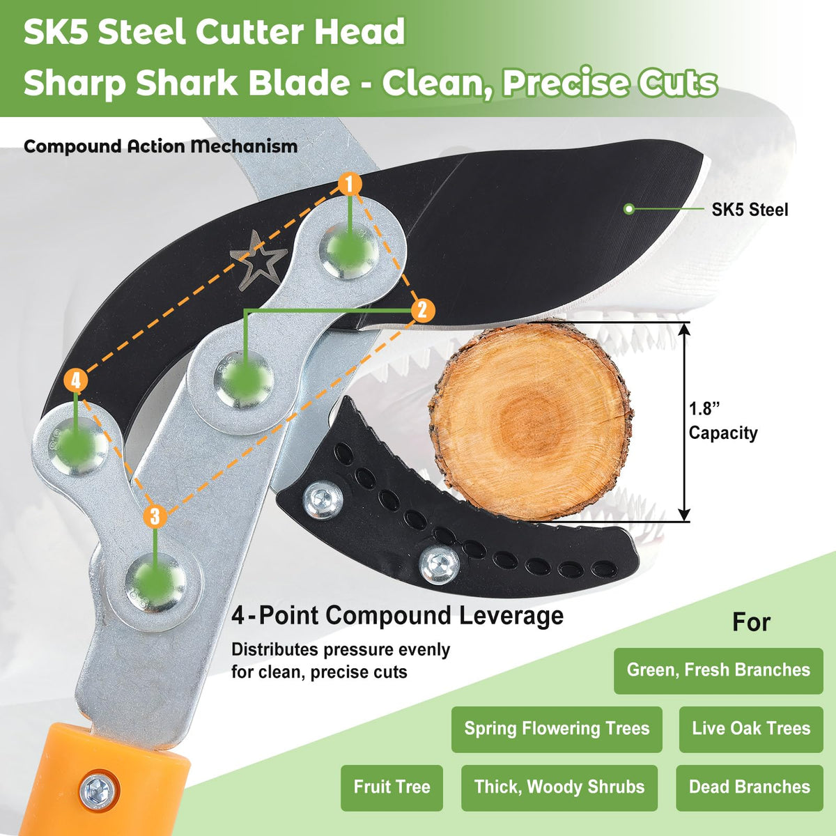 DEROFIT three-section telescoping handles extend smoothly for ground-level setup.