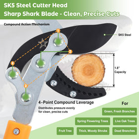 DEROFIT three-section telescoping handles extend smoothly for ground-level setup.