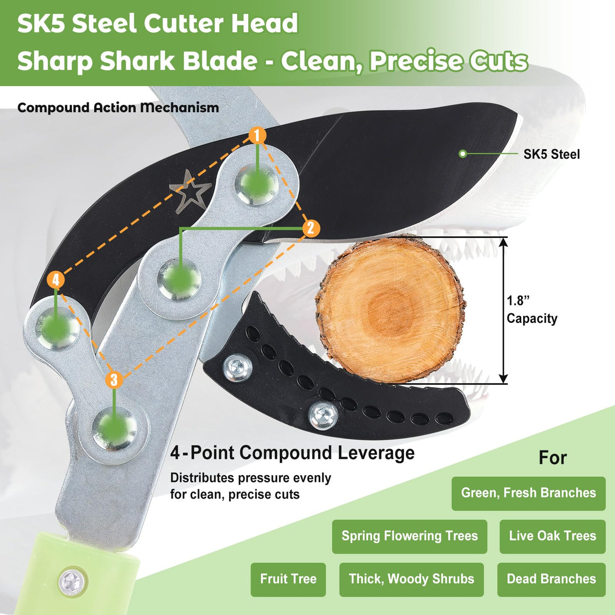 DEROFIT extendable loopers 1.8-inch cut capacity demonstrated on hardwood branch