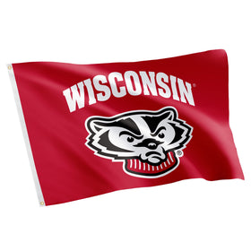 Desert Cactus UW flag 3x5 Badgers banner for outdoor display and pride