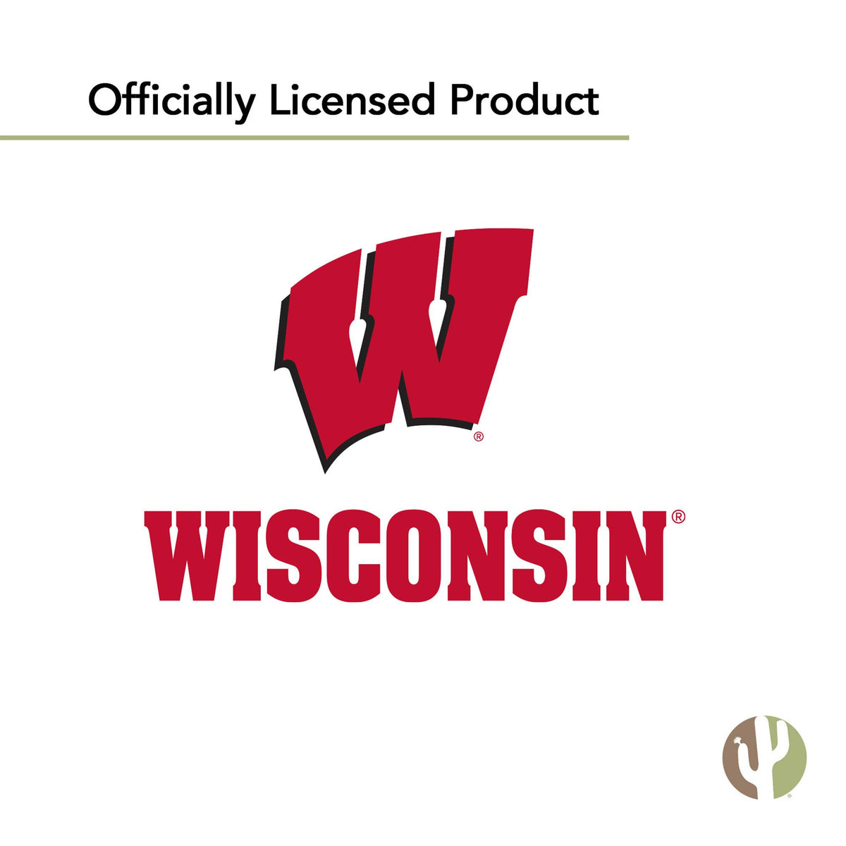 Desert Cactus UW flag officially licensed authentic branding
