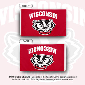 Desert Cactus UW flag uses outdoor-durable polyester for campus use