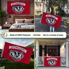 Desert Cactus UW flag single-sided design suits dorms, lounges, and events