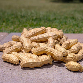 Desert Valley Supply peanuts at a backyard wildlife feeding station.