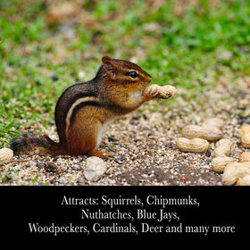 Desert Valley Supply attracts diverse wildlife to backyard.