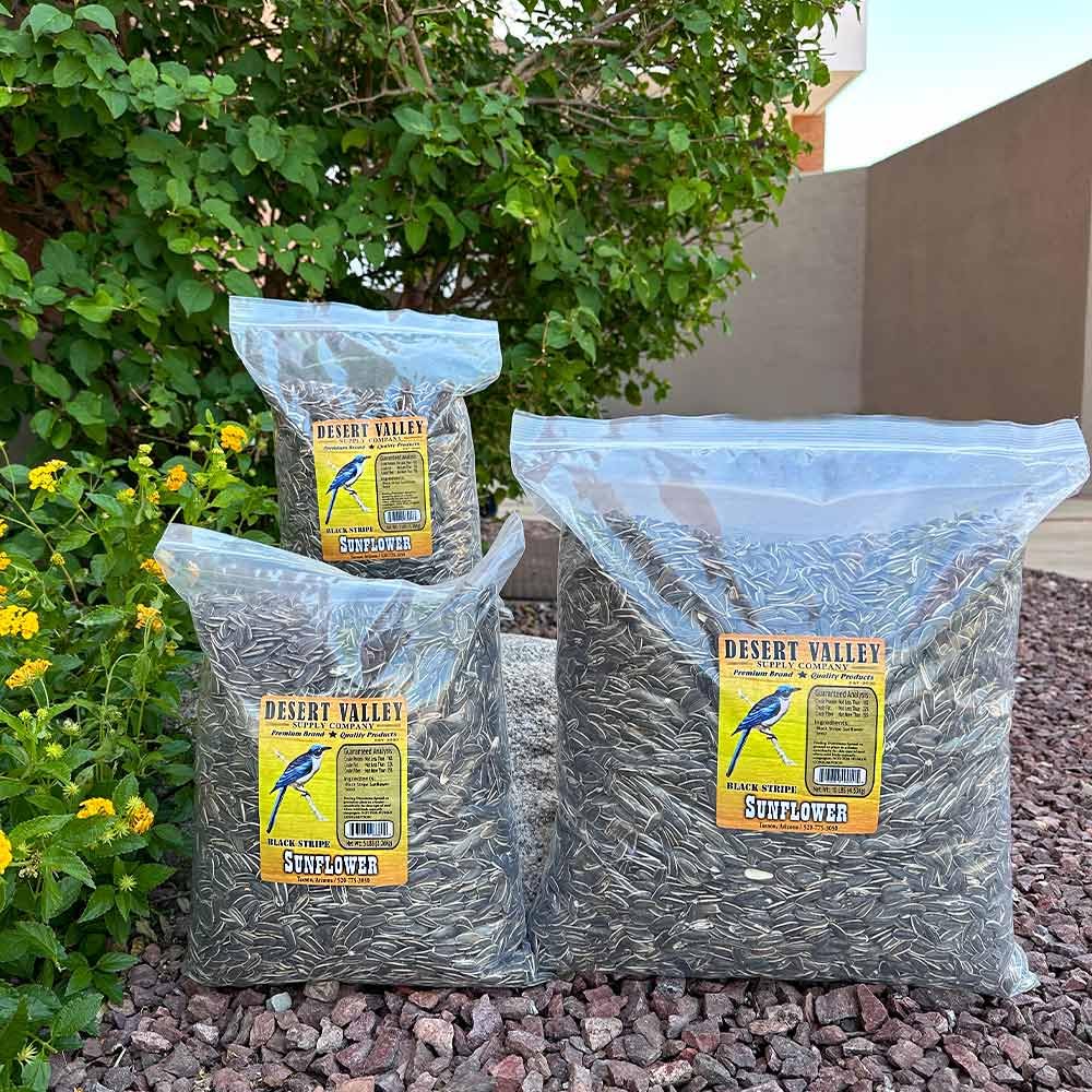 Desert Valley Supply Non-GMO striped sunflower seeds close-up showing quality