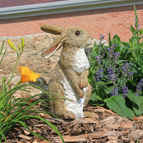 Design Toscano Hopper outdoor garden statue, 6in, adds playful whimsy to entrance paths.