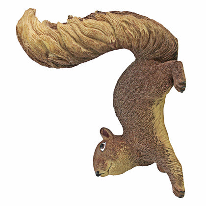 Design Toscano Simone hanging squirrel on a tree adds whimsical outdoor charm.