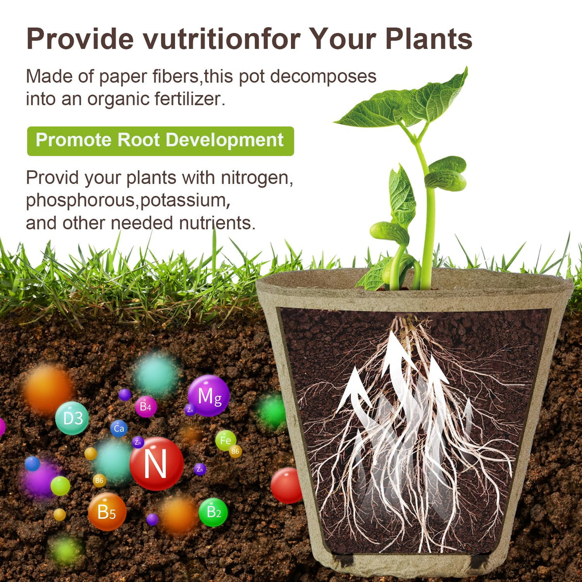 DESKEMAI peat pots support roots to grow through walls for transplanting.