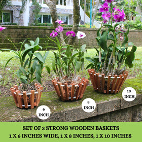 Desquiggle 8-inch orchid basket compact size for smaller plants.