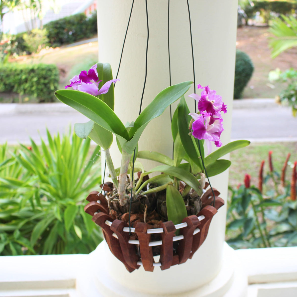 DESQUIGGLE ready-to-use hanging wires improve patio setups.