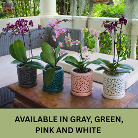 DESQUIGGLE six-inch ceramic orchid pot designed for stable placement and airflow.