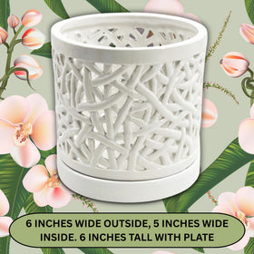 DESQUIGGLE orchid pot showing separate drainage plate for easy watering.