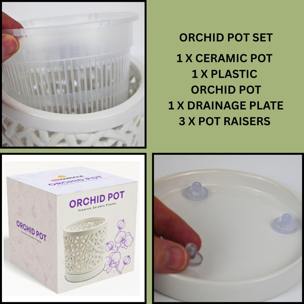 DESQUIGGLE orchid pot packaged in gift-ready box with orchid motif.