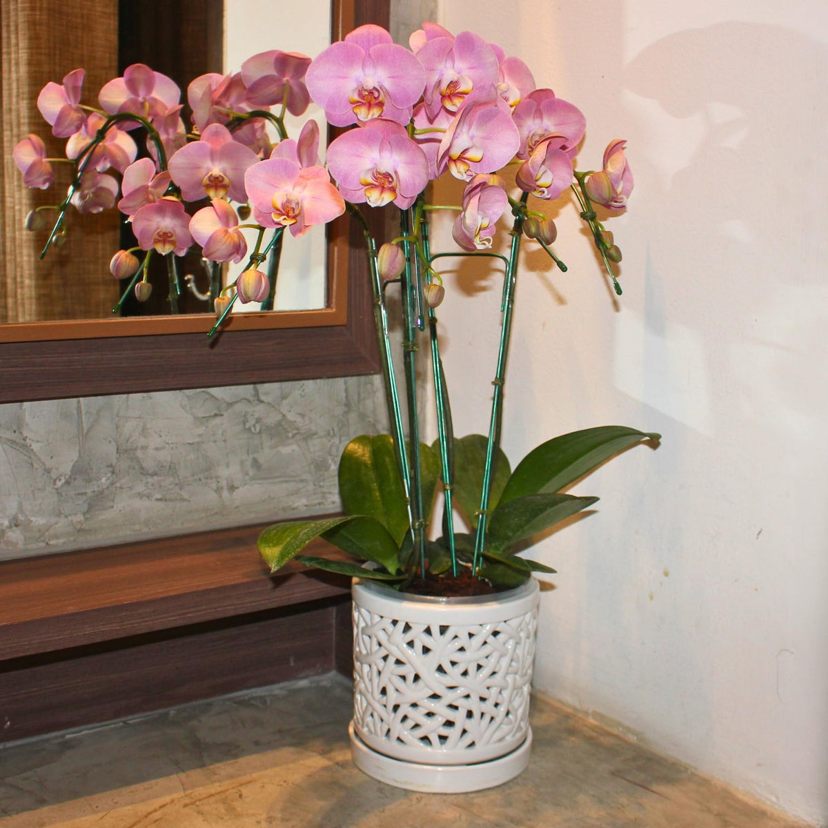 DESQUIGGLE orchid pot suitable for indoor or outdoor use.