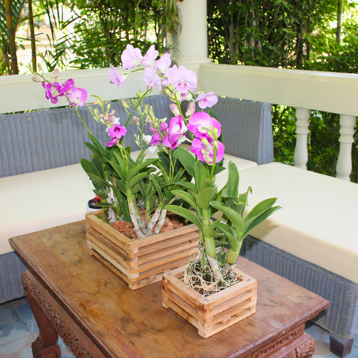 DESQUIGGLE teak wood crafted by Thai orchid growers for durable tropical styling