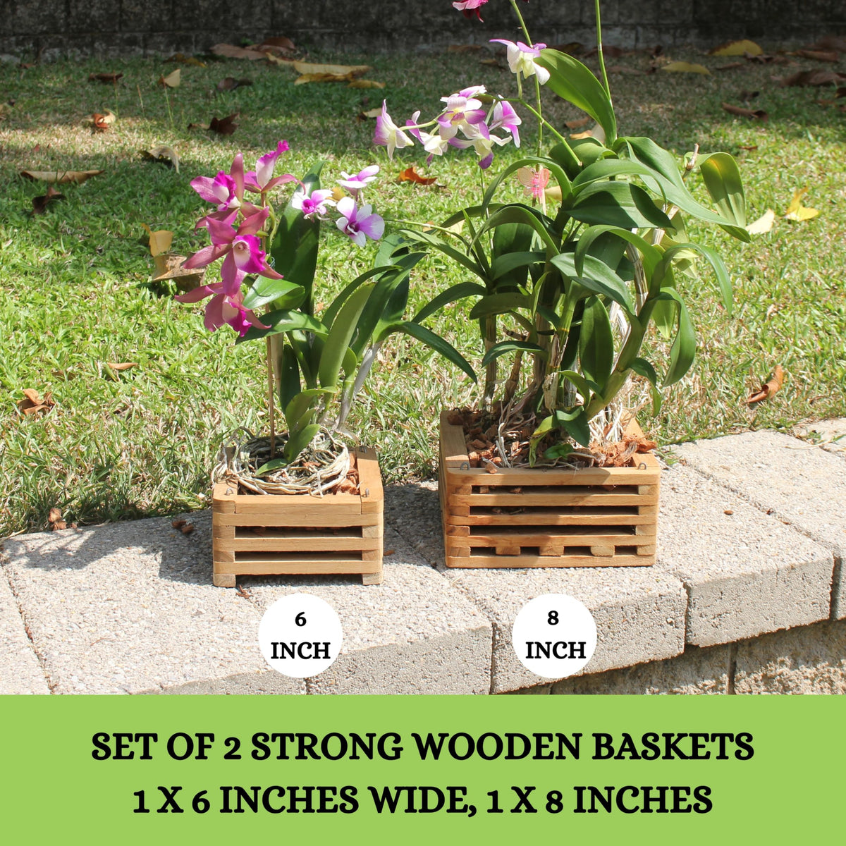 DESQUIGGLE teak orchid basket 6-inch with hanger for flexible indoor or outdoor displays