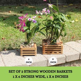 DESQUIGGLE teak orchid basket 6-inch with hanger for flexible indoor or outdoor displays