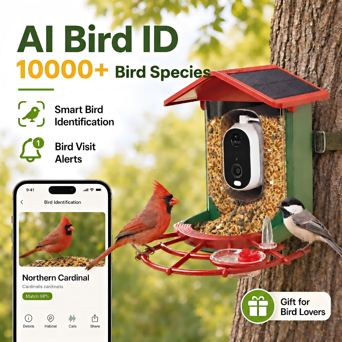 Detiko Bird Feeder Camera Live View lets you check birds anytime.