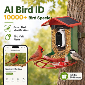 Detiko Bird Feeder Camera Live View lets you check birds anytime.