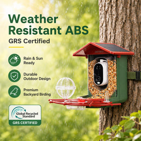 Detiko Bird Feeder Camera Night Vision reveals visiting birds after dark.