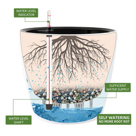 Dexceder self-watering planter inner basin removal enables easy plant replacement and cleaner maintenance.