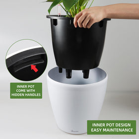 Dexceder water level indicator guides watering timing for consistent moisture.