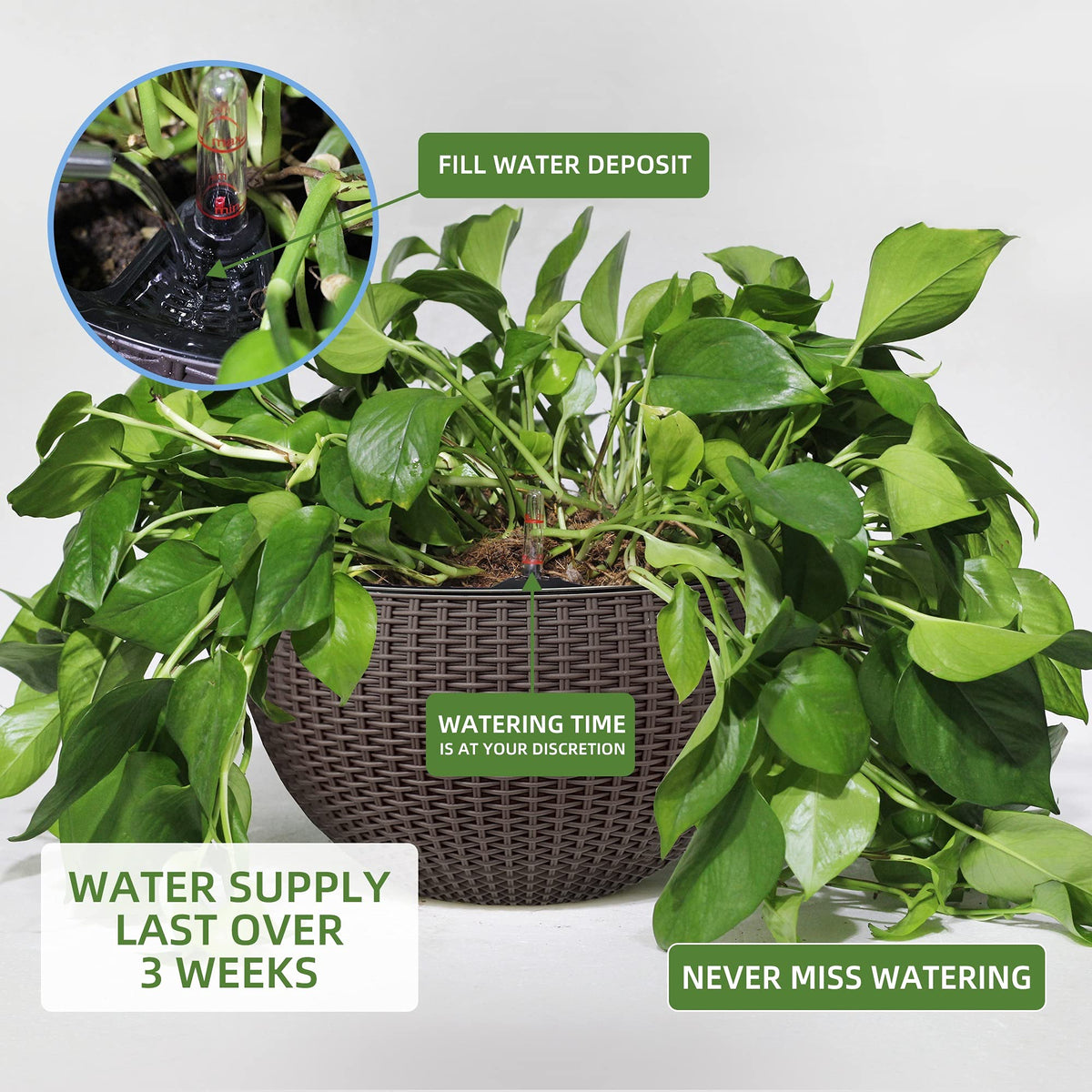 Dexceder deep inner basin supports larger root growth and mixed planting.