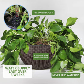 Dexceder deep inner basin supports larger root growth and mixed planting.