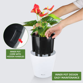 Drainage plug and spillway prevent overwatering cycles.