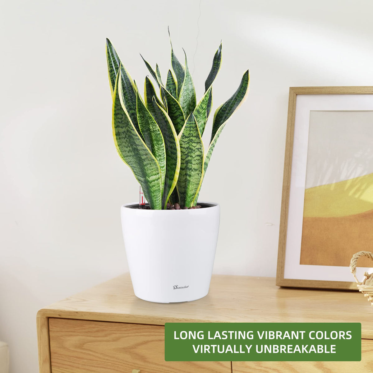 Dexceder durable, UV- and frost-resistant plastic maintains vibrant color.