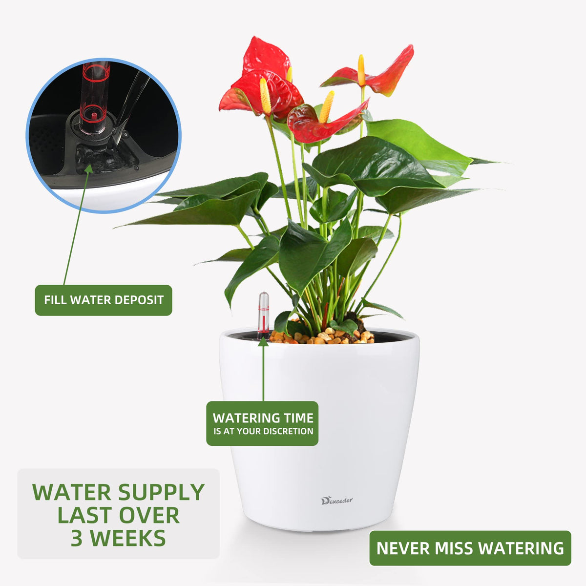 Indoor and outdoor friendly Dexceder planter for herbs and greens.