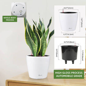 Dexceder inner pot with removable basin simplifies plant replacement.