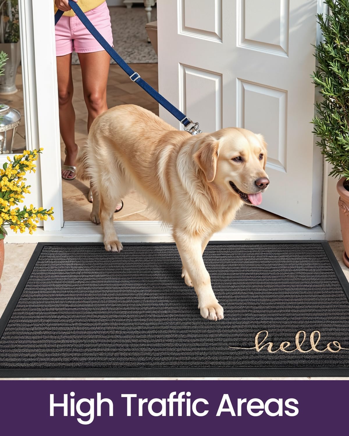 Front and back door placement with DEXI mat for high traffic areas