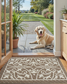 DEXI low-profile entry rug slides under doors without snagging.
