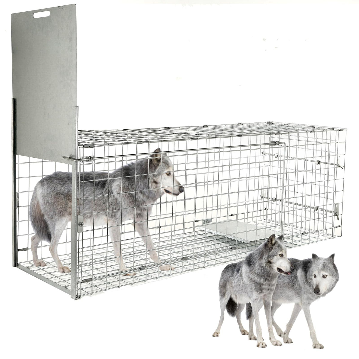 Dexyla 57 inch live animal trap front view with wide opening for safe capture.
