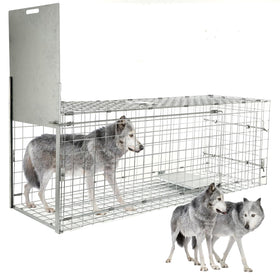 Dexyla 57 inch live animal trap front view with wide opening for safe capture.
