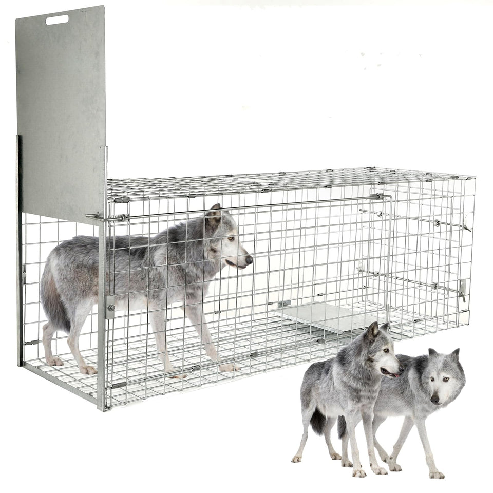 Dexyla 57 inch live animal trap front view with wide opening for safe capture.
