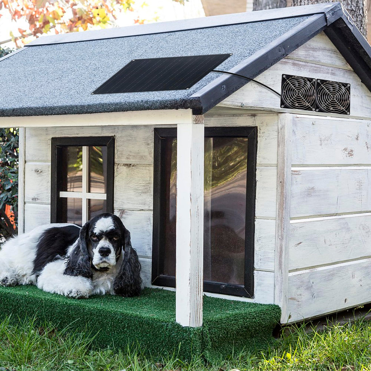 DFTIM shed window ventilation for versatile indoor/outdoor use.