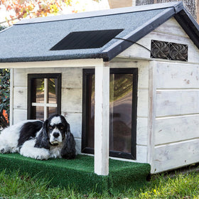 DFTIM shed window ventilation for versatile indoor/outdoor use.