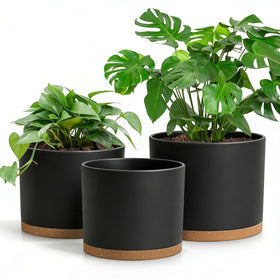 DGJDLWHX 8-inch white pot with drainage holes to prevent overwatering.